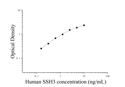 人丫叉同源物3(SSH3)ELISA檢測(cè)試劑盒 [貨號(hào):JL17567]