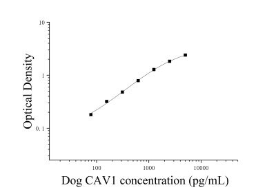 犬窖蛋白(CAV1)ELISA檢測(cè)試劑盒 [貨號(hào):JL26775]
