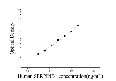 人絲氨酸蛋白酶抑制劑B1(SERPINB1)ELISA檢測(cè)試劑盒 [貨號(hào):JL40855]